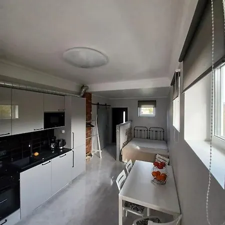 Tammsaare Close To * פארנו