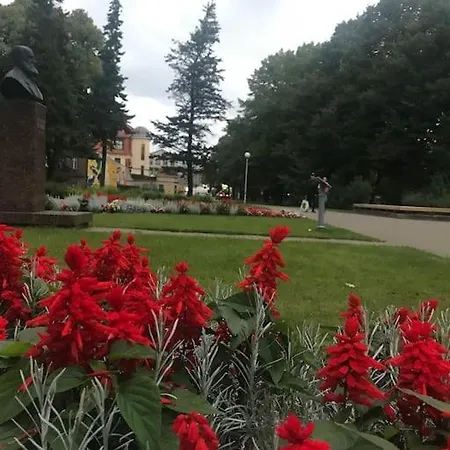 Tammsaare Close To Διαμέρισμα Παρνού