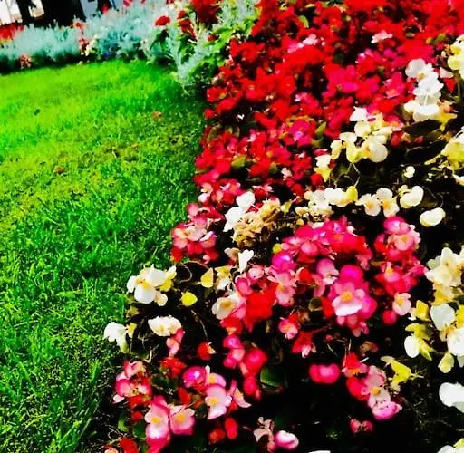 Tammsaare Close To Appartamento Pärnu