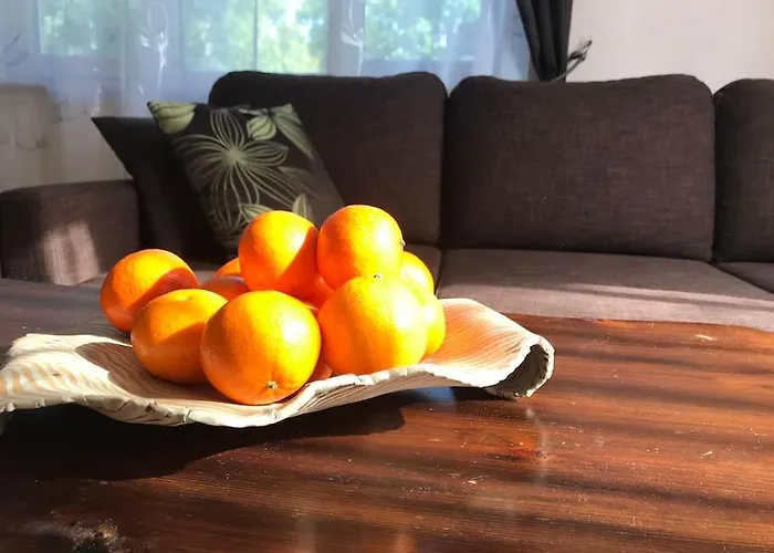 Appartamento Tammsaare Close To *